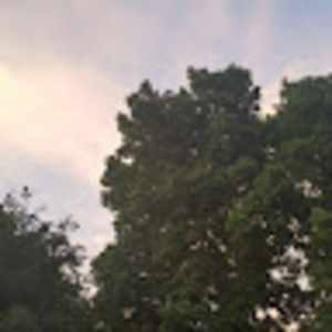 Meet your Posher, Virginia